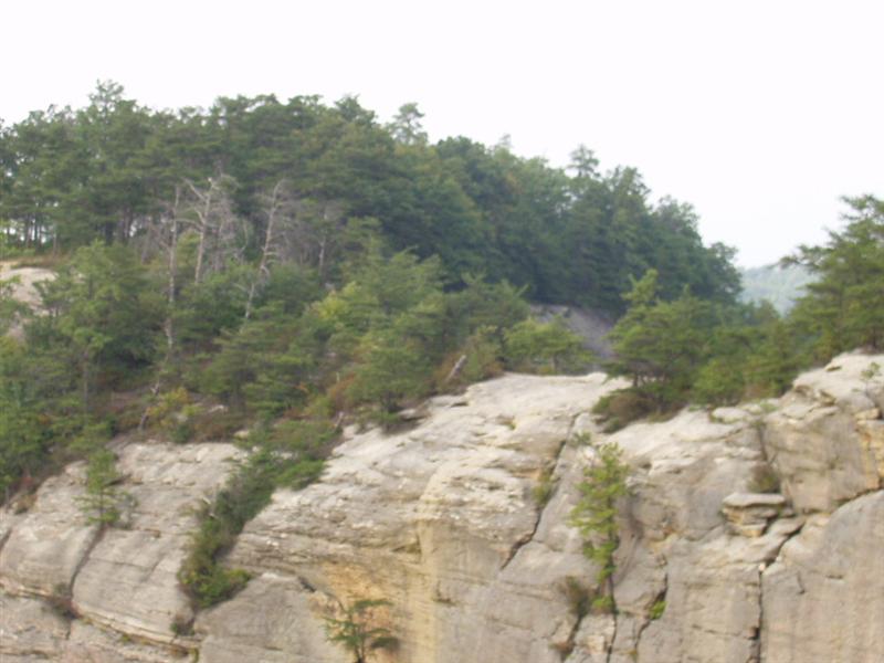50:rrg9_05 069.jpg