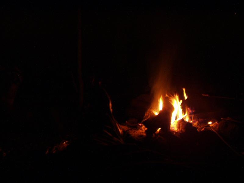 79:rrg9_05 102.jpg