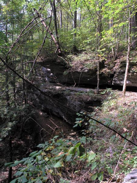 45:PA011053.JPG