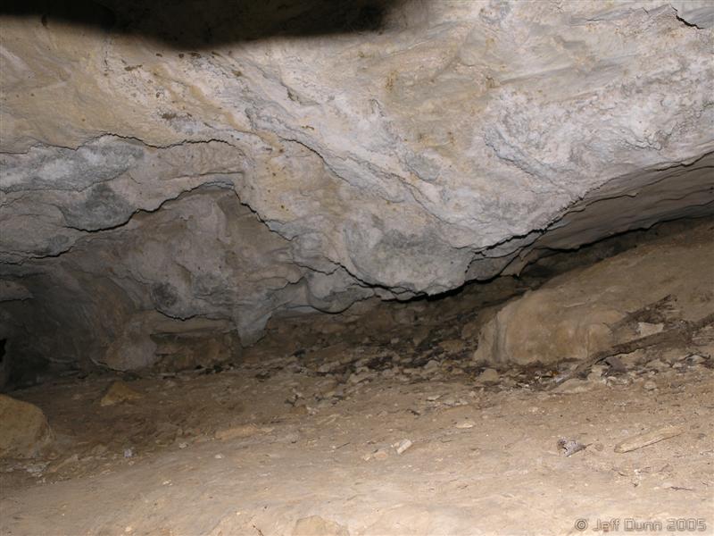 80:PA011099.JPG