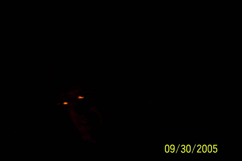 0:cartercaves004.jpg