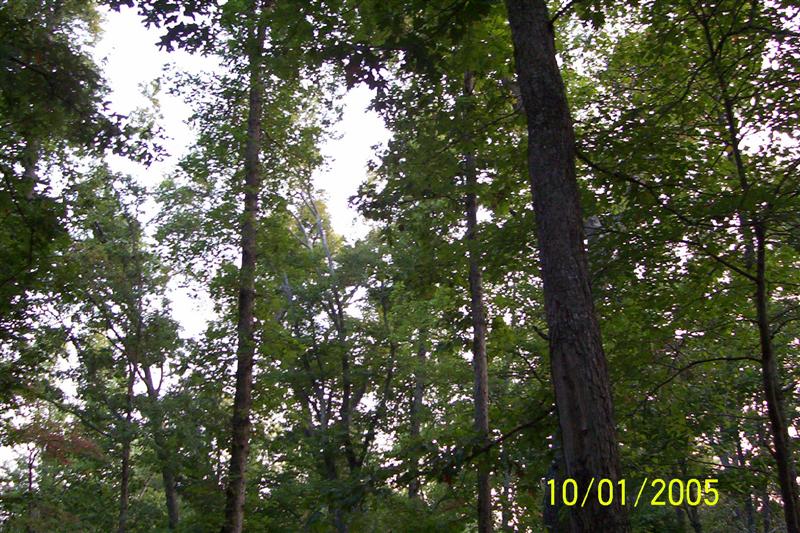 1:cartercaves005.jpg