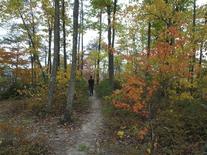 44:PA211449.JPG