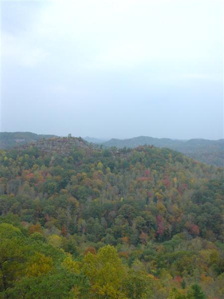 11:DSC02439.JPG