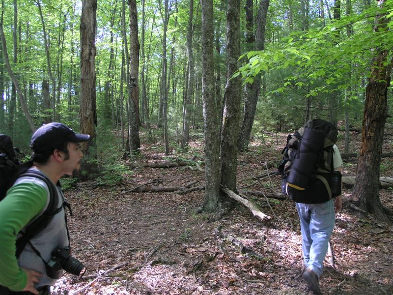 3:P5051409.JPG