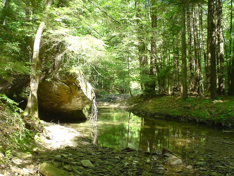 Salt Fork;<br>23:DSC02748.JPG