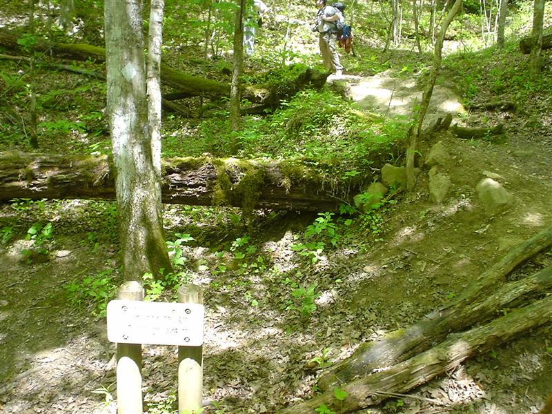 Sheltowee Trace joins Bison Way;<br>29:DSC02755.JPG
