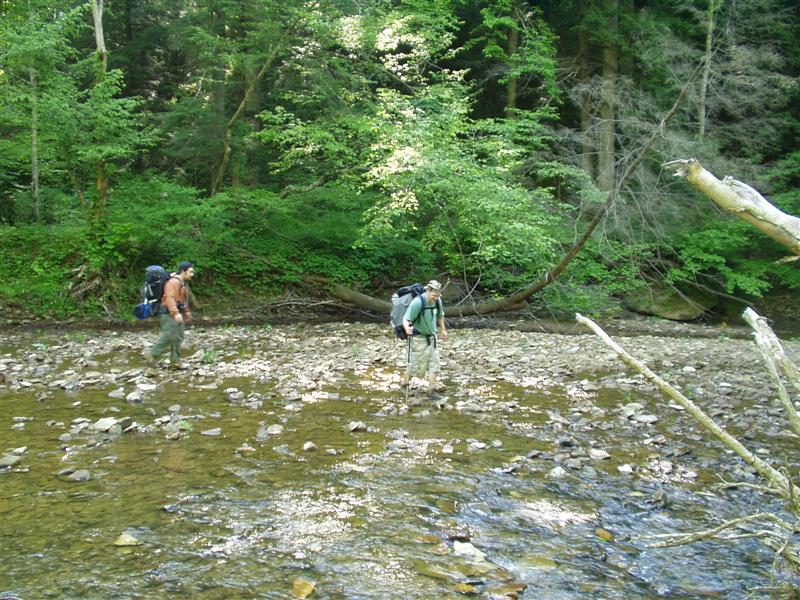 7:rrg5506012.jpg
