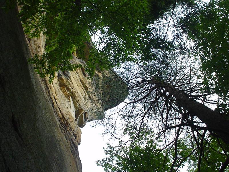 Tower Rock<br>3:DSC02778.JPG
