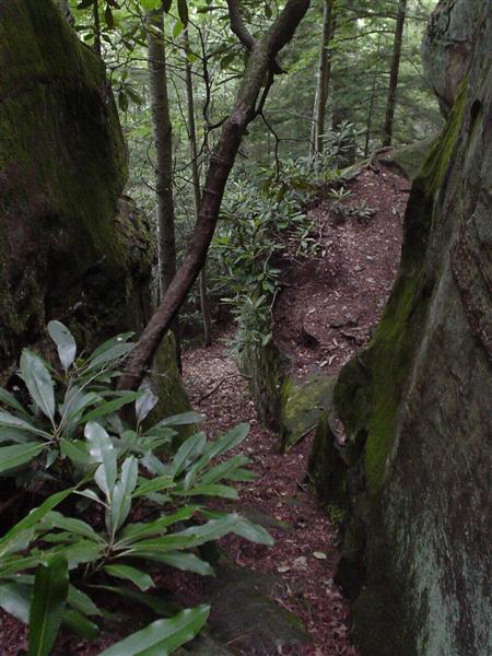 5:DSC02780.JPG