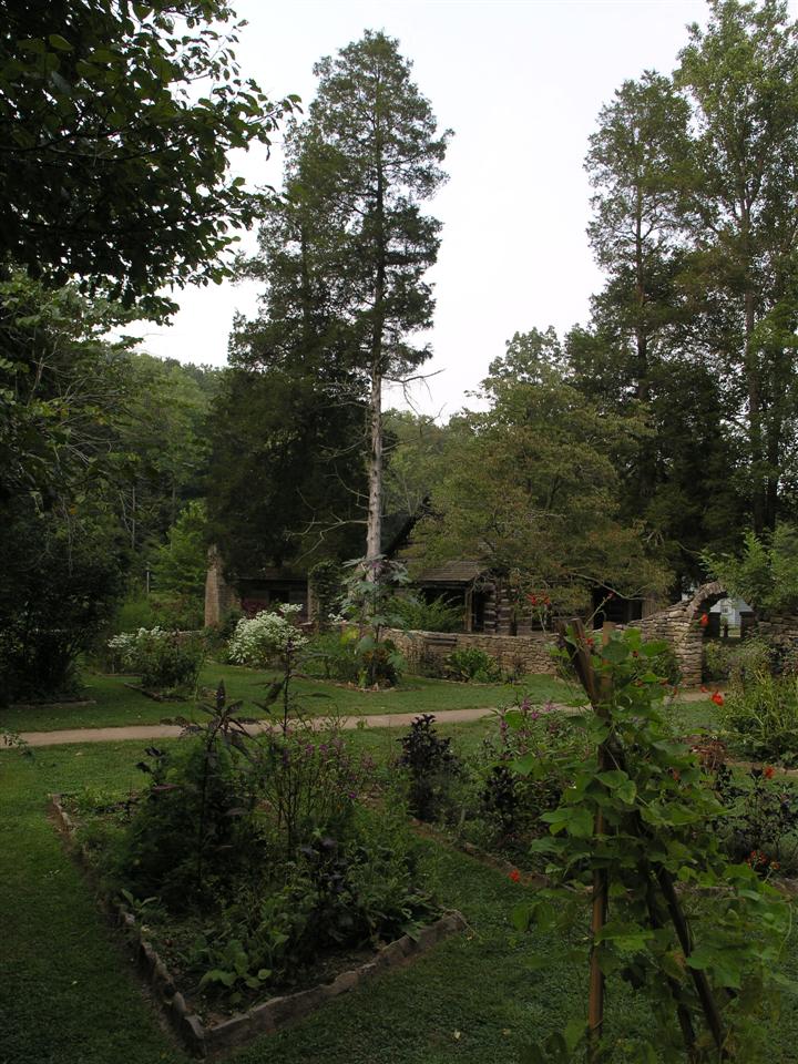 26:P1013008.JPG