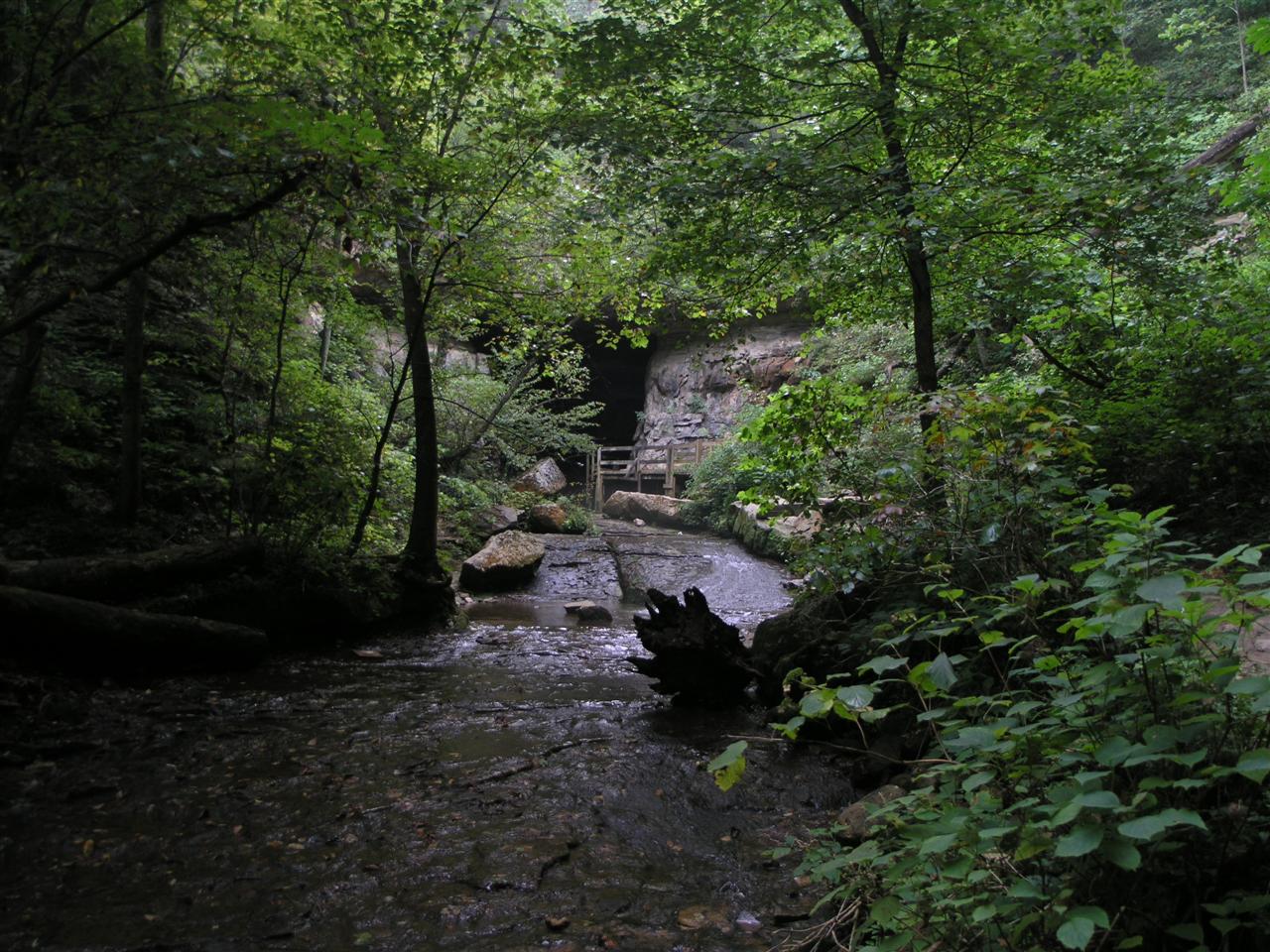35:P4282890.JPG