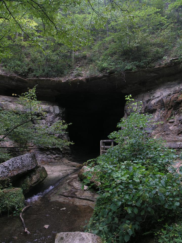 36:P4282892.JPG