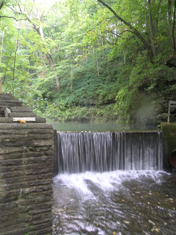 62:P4282941.JPG