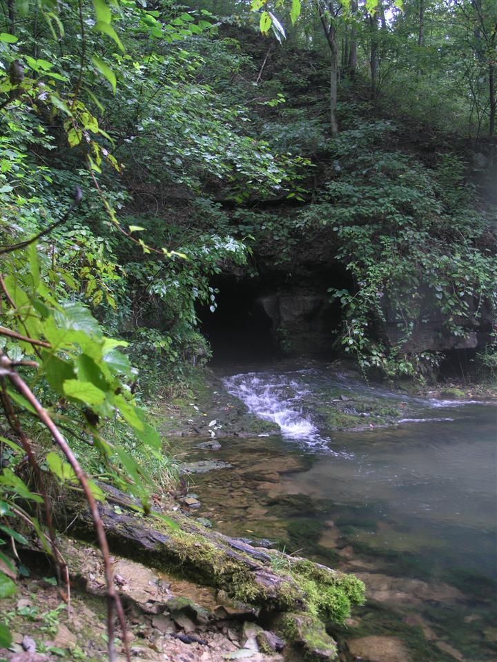 65:P4282945.JPG