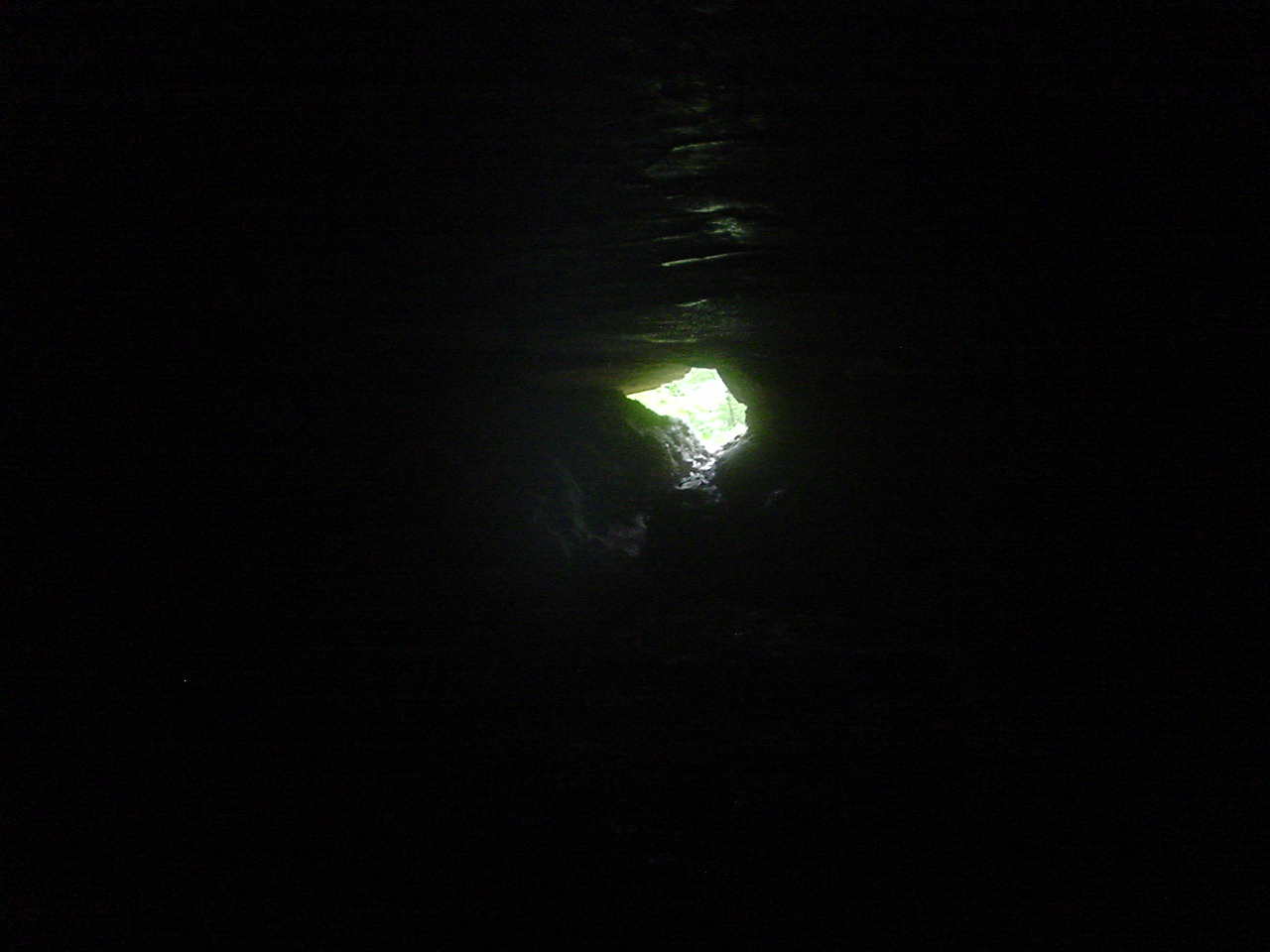 8:DSC02817.JPG