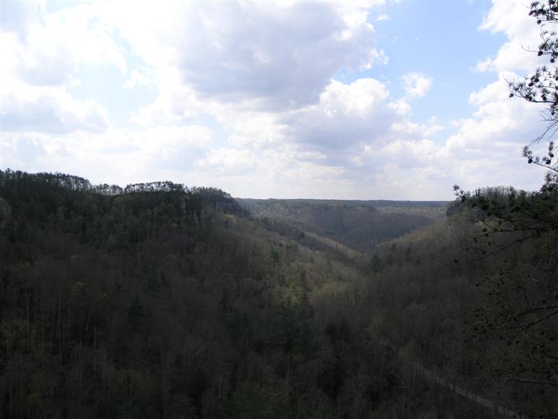 53:P4036168.JPG