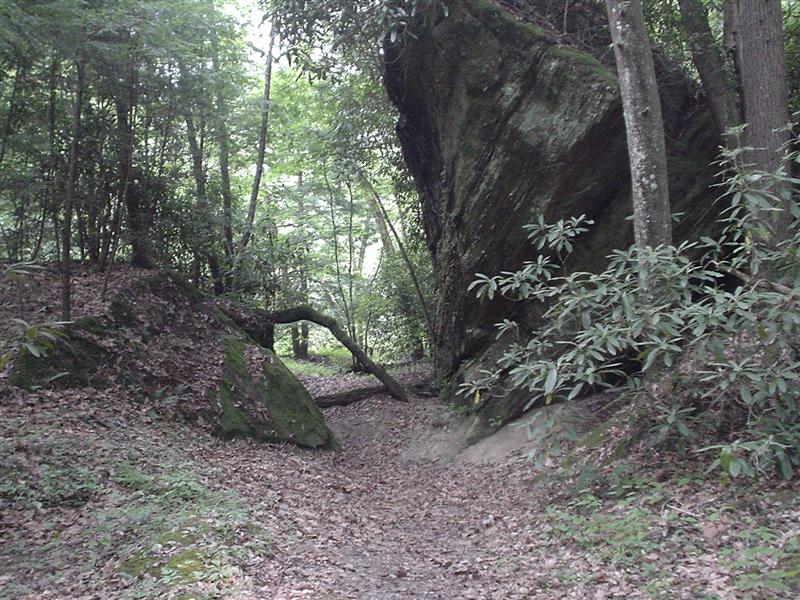 4:DSC03218.JPG
