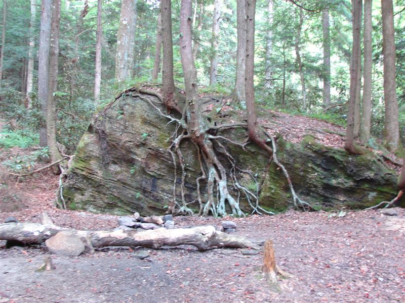 4:gorge607022.jpg