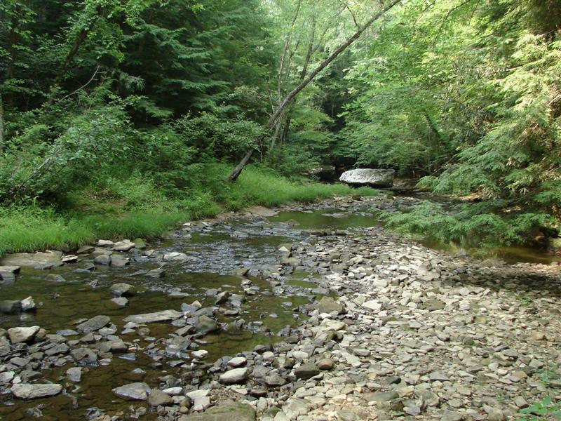 7:gorge607025.jpg