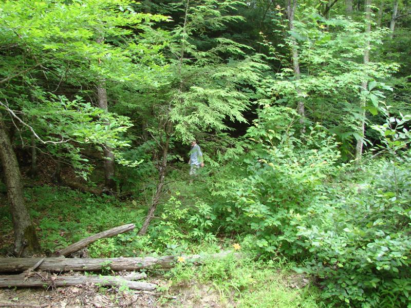 13:gorge607036.jpg