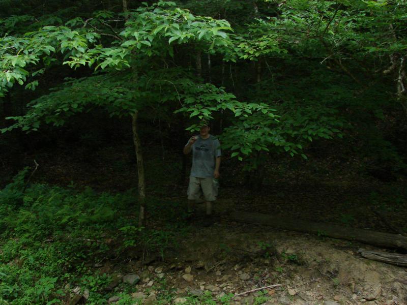 14:gorge607037.jpg
