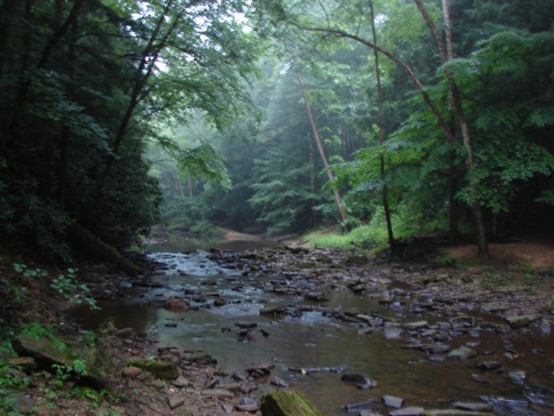 15:gorge607046.jpg