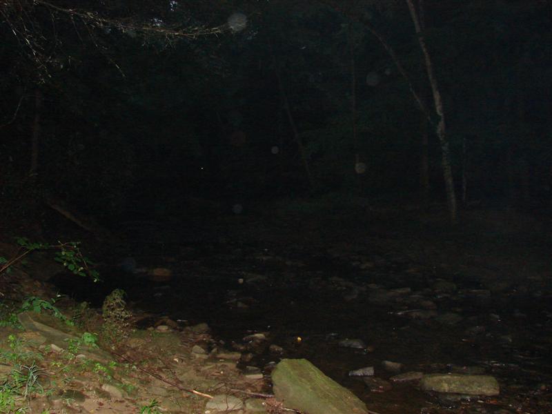 19:gorge607051.jpg