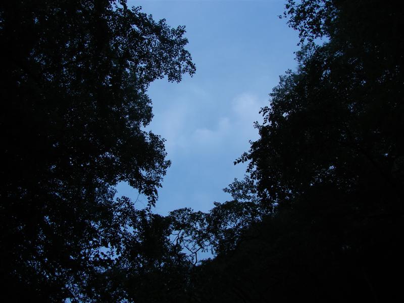 21:gorge607053.jpg