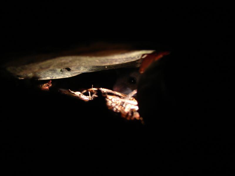 22:gorge607060.jpg