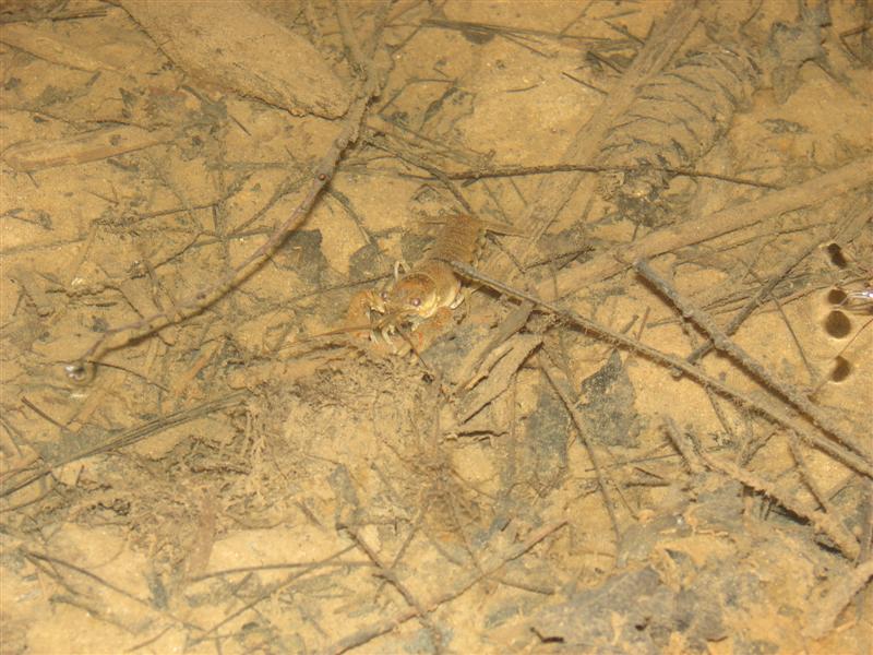 40:gorge607114.jpg