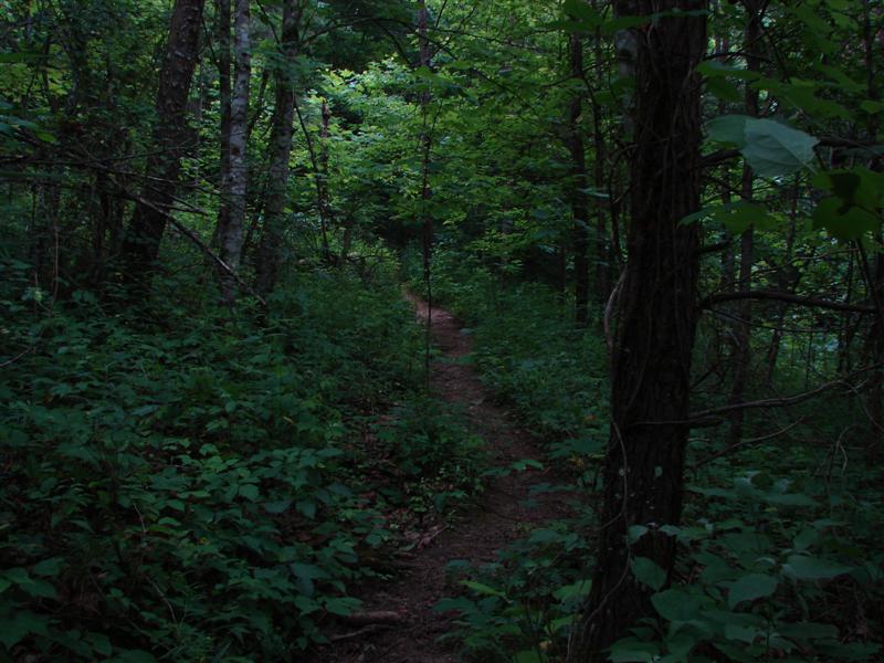 54:gorge607133.jpg