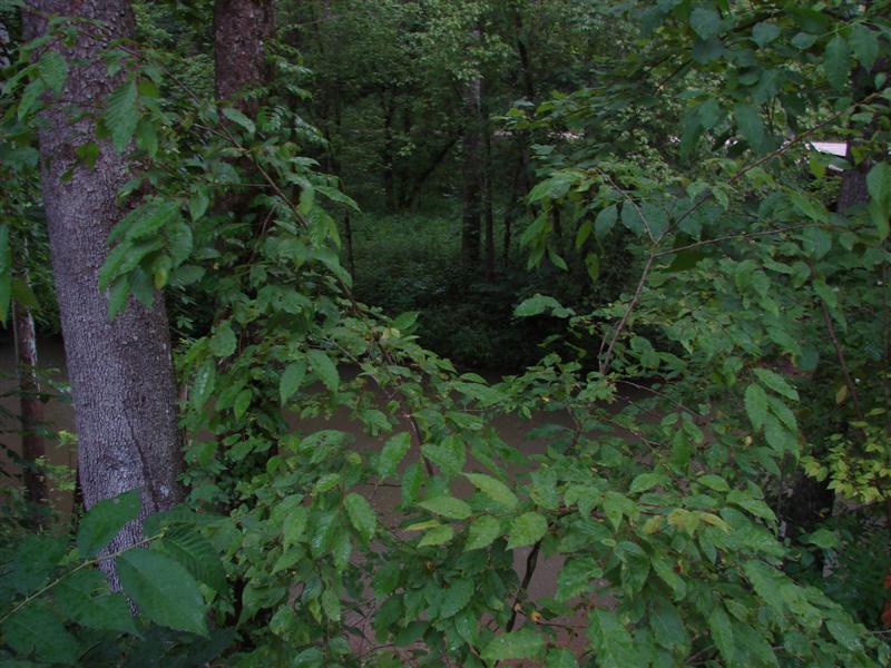 55:gorge607136.jpg