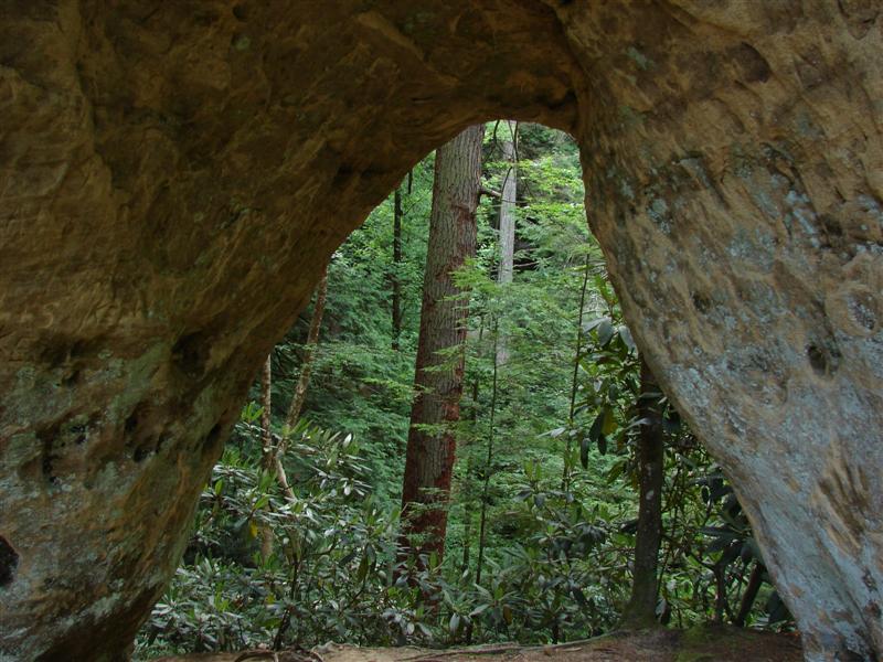 64:gorge607146.jpg