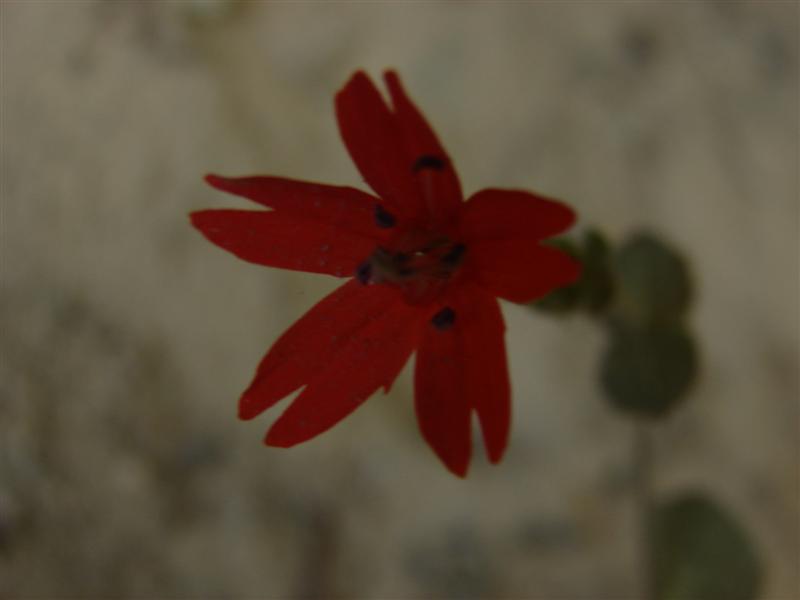 67:gorge607151.jpg