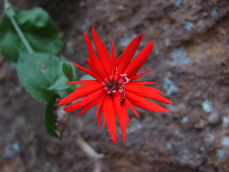 80:gorge607172.jpg