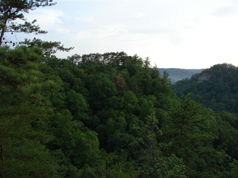 86:gorge607182.jpg