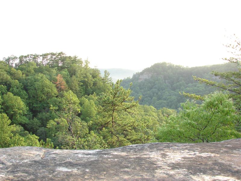 96:gorge607193.jpg