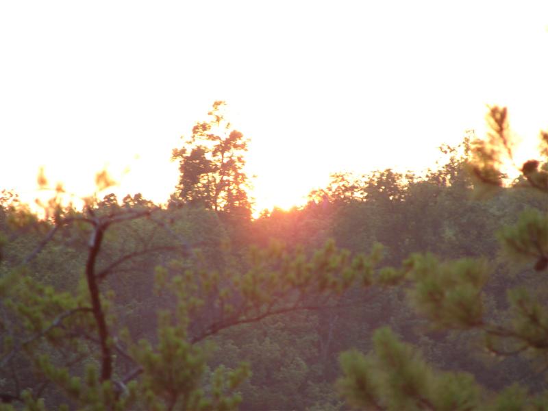 103:gorge607201.jpg