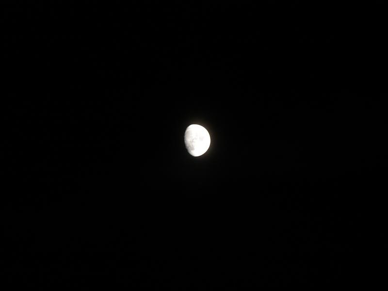 121:gorge607256.jpg