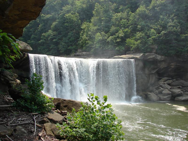 141:gorge607294.jpg