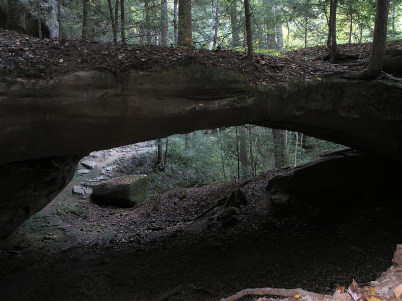 22:PA219934.JPG