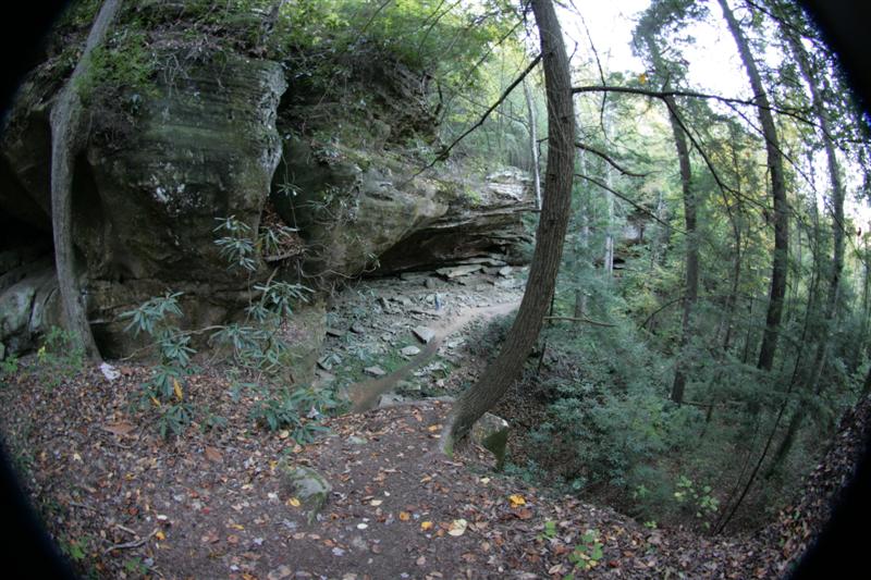 31:IMG_0943.JPG