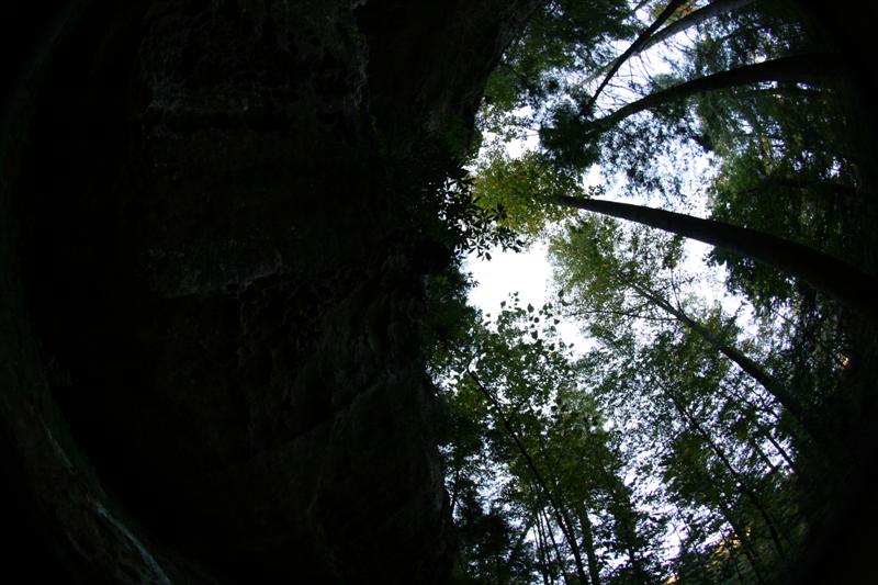 36:IMG_0953.JPG