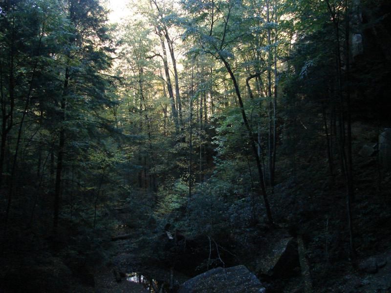 23:bigsouthforkoct07034.jpg