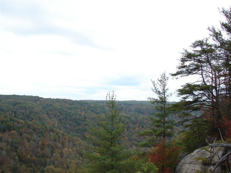 46:bigsouthforkoct07076.jpg
