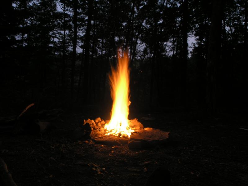 2:P1010017.JPG