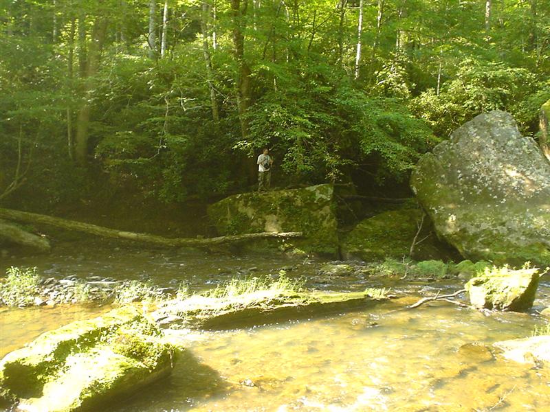 3:DSC00377.JPG