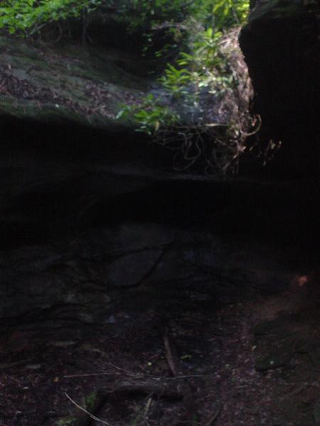 9:DSC00393.JPG