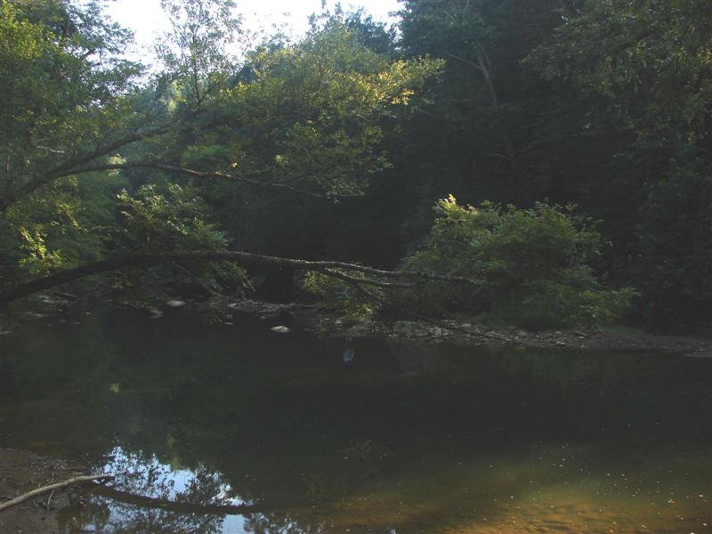 8:redbyrd09009.jpg